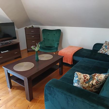 Apartament Sosnowa Apartment Krasnobrod Bagian luar foto
